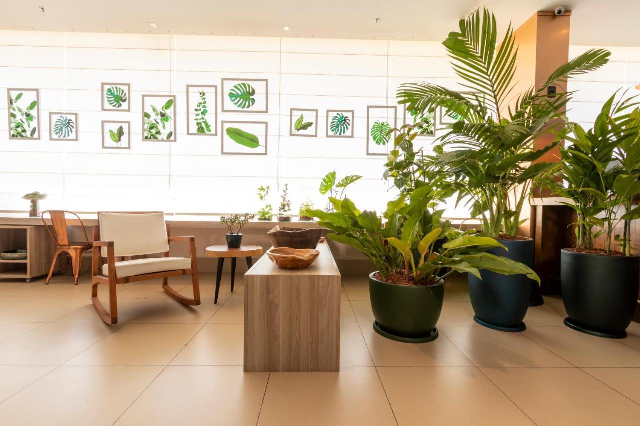 ไอบิส สไตล์ กูริติบา แอร์พอร์ต โฮเต็ล Hotel Sao Jose dos Pinhais ภายนอก รูปภาพ