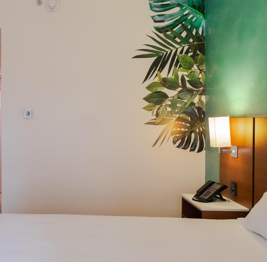 ไอบิส สไตล์ กูริติบา แอร์พอร์ต โฮเต็ล Hotel Sao Jose dos Pinhais ภายนอก รูปภาพ